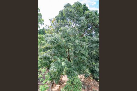 Casa à venda com 600m², 3 quartos e 4 vagasQuintal