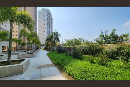 Apartamento para alugar com 63m², 2 quartos e 1 vagaJardim