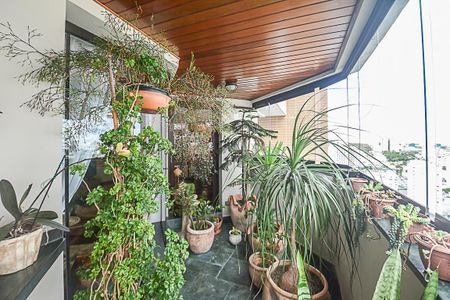 Apartamento à venda com 240m², 3 quartos e 4 vagasVaranda gourmet