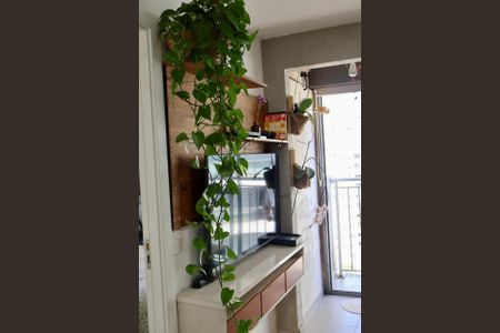 Apartamento para alugar com 29m², 1 quarto e sem vagaSala