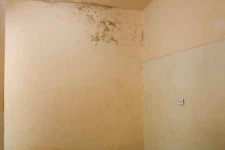 Casa para alugar com 0 quarto, 20m² em Piedade, Rio de Janeiro