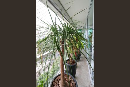 Apartamento à venda com 219m², 3 quartos e 3 vagasVaranda