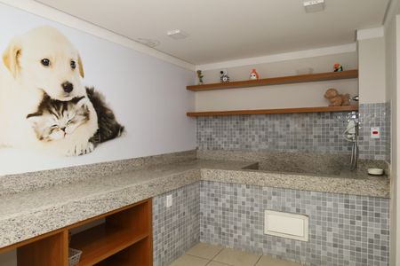 Apartamento para alugar com 32m², 2 quartos e sem vagaÁrea comum - Pet care