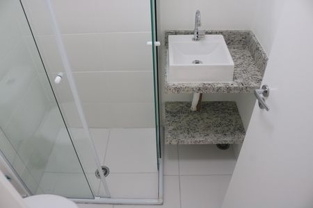 Banheiro de apartamento para alugar com 2 quartos, 34m² em Parque Industrial Tomas Edson, São Paulo