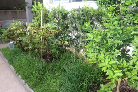 Apartamento para alugar com 126m², 2 quartos e 2 vagasÁrea comum