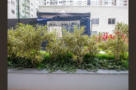 Apartamento à venda com 49m², 2 quartos e 1 vagaQuarto 2 Vista