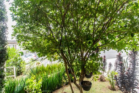 Casa de condomínio para alugar com 420m², 3 quartos e sem vaga Casa de condomínio para alugar com 420m², 3 quartos e sem vagaVista