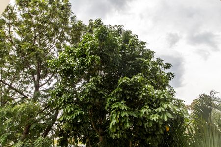 Apartamento à venda com 94m², 3 quartos e 2 vagasVista da Suíte