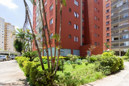 Apartamento para alugar com 74m², 3 quartos e 1 vaga Apartamento para alugar com 74m², 3 quartos e 1 vagaÁrea comum