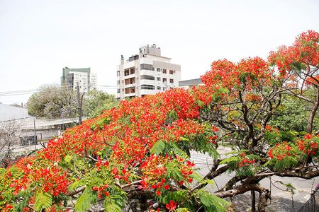 Apartamento à venda com 75m², 2 quartos e sem vagaSala Vista