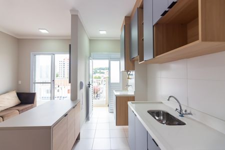 Apartamento para alugar com 45m², 2 quartos e 1 vagaCozinha 