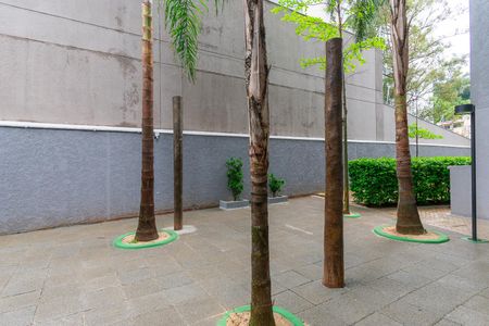 Apartamento à venda com 55m², 2 quartos e 1 vagaÁrea comum