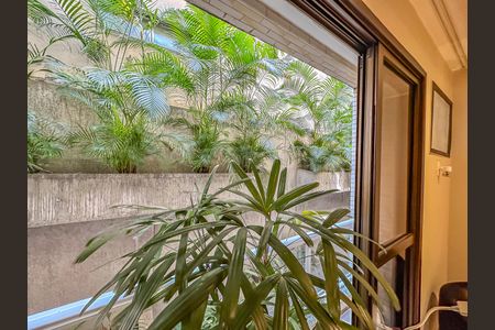 Apartamento para alugar com 2 quartos, 76m² em Laranjeiras, Rio de Janeiro