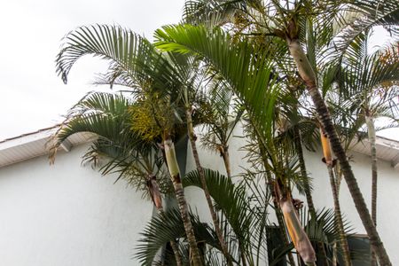 Casa de condomínio à venda com 294m², 4 quartos e 4 vagasVista da Suíte