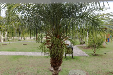 Apartamento para alugar com 55m², 2 quartos e sem vaga Apartamento para alugar com 55m², 2 quartos e sem vagaVista - Quarto 2