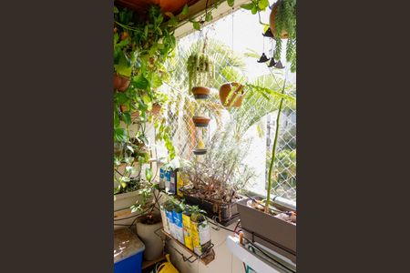 Apartamento à venda com 64m², 3 quartos e 1 vagaSacada