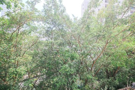 Apartamento à venda com 70m², 2 quartos e 1 vagaVista do Quarto 2