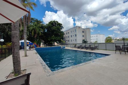 Área comum - Piscina de apartamento para alugar com 2 quartos, 50m² em Jardim Nova Europa, Campinas