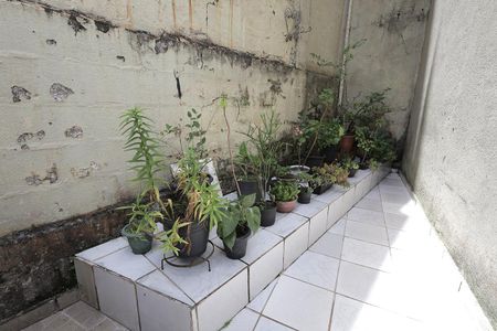 Casa para alugar com 164m², 5 quartos e 2 vagasJardim