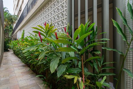 Apartamento para alugar com 56m², 1 quarto e sem vagaÁrea comum - Jardim