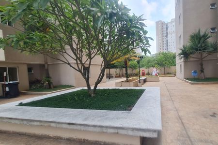 Apartamento para alugar com 71m², 2 quartos e 2 vagasÁrea comum