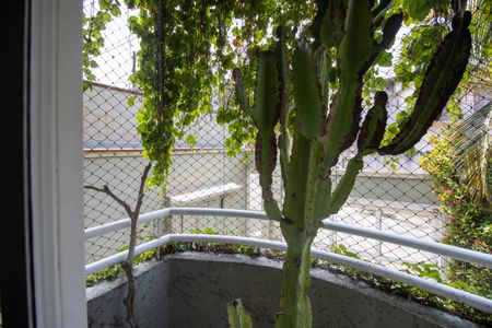 Casa à venda com 800m², 10 quartos e 4 vagasVaranda da Sala