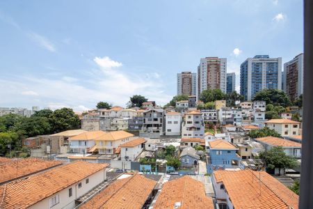 Casa à venda com 800m², 10 quartos e 4 vagasVista Suíte 1