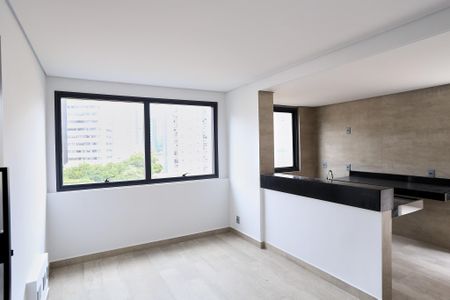 Sala de apartamento para alugar com 2 quartos, 60m² em Lourdes, Belo Horizonte