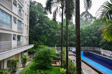 Vista Varanda da Sala de kitnet/studio para alugar com 1 quarto, 33m² em Panamby, São Paulo