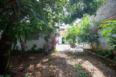 Casa para alugar com 306m², 1 quarto e 3 vagasQuintal 