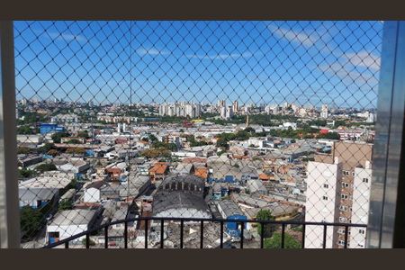 Apartamento à venda com 3 quartos, 80m² em Parque Novo Mundo, São Paulo