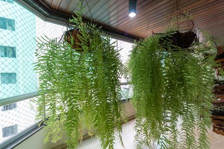 Varanda Sala de Estar de apartamento à venda com 3 quartos, 190m² em Campo Belo, São Paulo