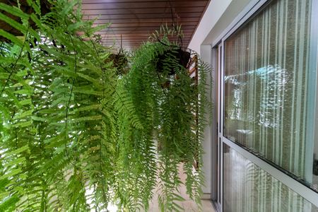 Varanda Sala de Estar de apartamento à venda com 3 quartos, 190m² em Campo Belo, São Paulo