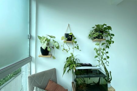 Varanda da Sala de apartamento para alugar com 2 quartos, 73m² em Santa Cruz, Belo Horizonte