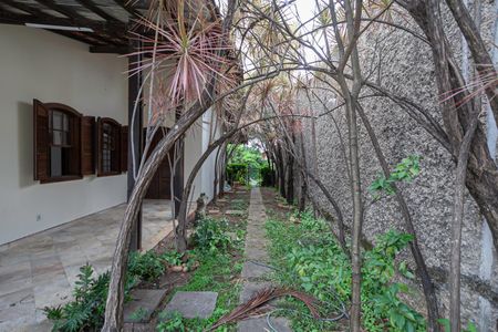 Casa para alugar com 487m², 5 quartos e 6 vagasQuintal