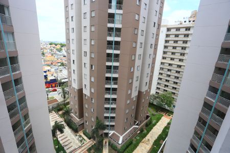Apartamento para alugar com 58m², 2 quartos e 1 vaga Apartamento para alugar com 58m², 2 quartos e 1 vagavaranda vista