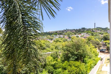 Vista do Quarto 1 de apartamento para alugar com 2 quartos, 42m² em Santa Tereza, Porto Alegre