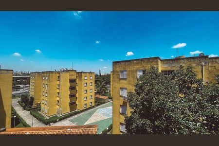 Apartamento para alugar com 2 quartos, 50m² em Jardim Pereira Leite, São Paulo