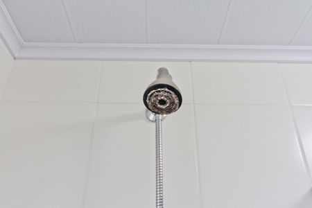 Apartamento para alugar com 62m², 2 quartos e 1 vaga Apartamento para alugar com 62m², 2 quartos e 1 vagaBanheiro