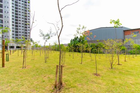 Apartamento para alugar com 40m², 2 quartos e 1 vaga Apartamento para alugar com 40m², 2 quartos e 1 vagaÁrea comum