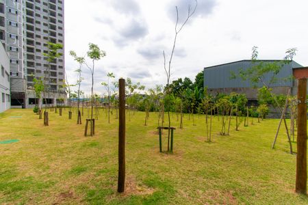 Apartamento para alugar com 40m², 2 quartos e 1 vaga Apartamento para alugar com 40m², 2 quartos e 1 vagaÁrea comum