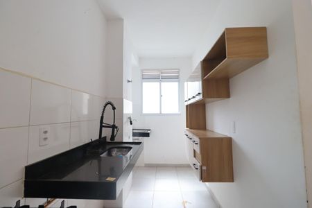 Cozinha de apartamento para alugar com 2 quartos, 45m² em Recreio das Acacias, Ribeirão Preto