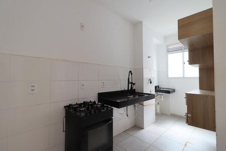 Cozinha de apartamento para alugar com 2 quartos, 45m² em Recreio das Acacias, Ribeirão Preto