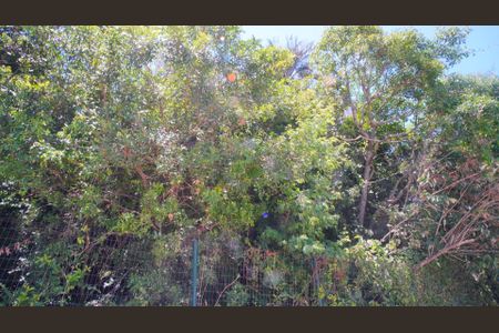 Apartamento à venda com 44m², 2 quartos e 1 vagaBosque 