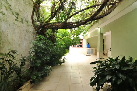 Casa à venda com 260m², 3 quartos e 2 vagasQuintal