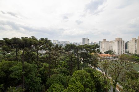 Vista Varanda de apartamento para alugar com 2 quartos, 42m² em Umarizal, São Paulo