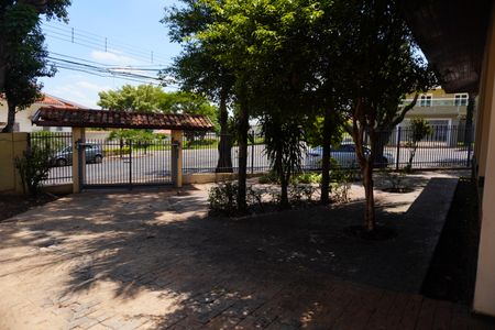 Casa para alugar com 313m², 3 quartos e 4 vagasQuintal