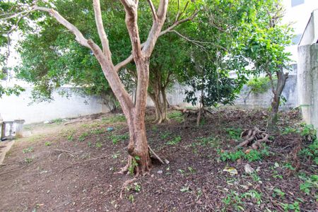 Casa à venda com 170m², 3 quartos e 1 vagaJardim 