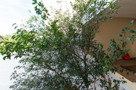 Casa à venda com 170m², 3 quartos e 1 vagaVista da suíte 