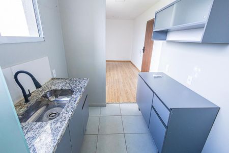 cozinha de apartamento para alugar com 2 quartos, 45m² em Juliana, Belo Horizonte